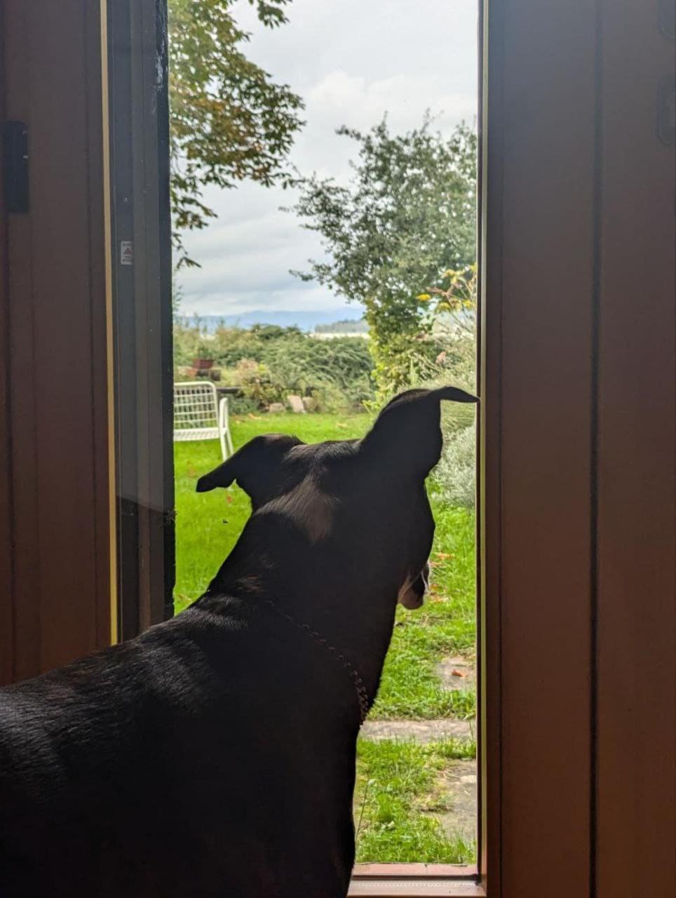 Chalet Sul Trasimeno SantʼArcangelo Buitenkant foto